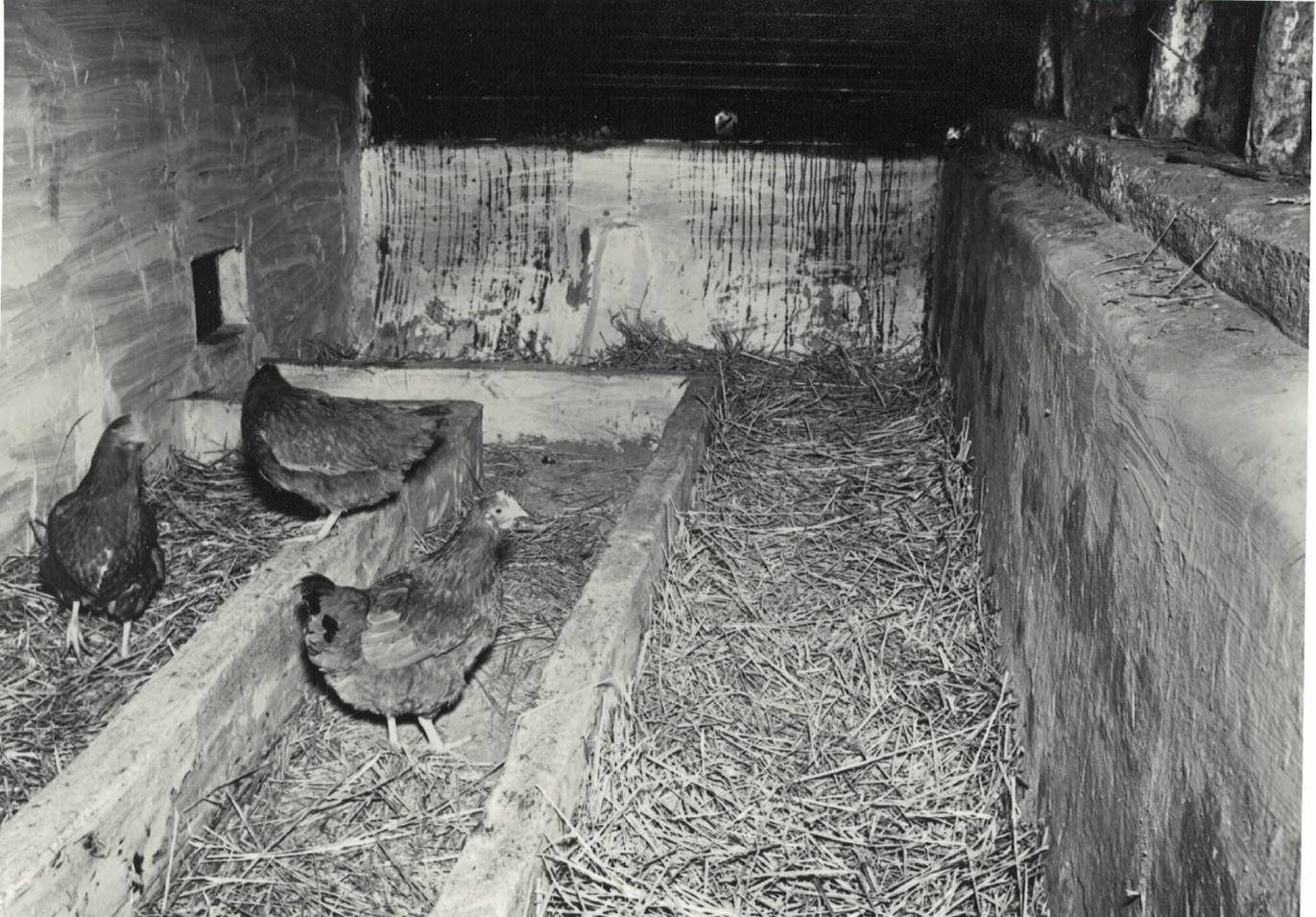 Nexting House (Egg Room)