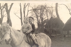 Ken and Guy - Homestead Farm - Phillips Horse
