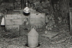 Millers Brooder - Almost Clucks 1953