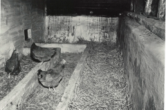 Nexting House (Egg Room)