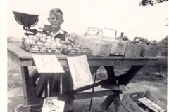 Homestead Farm - Roadside Stall circa 1953