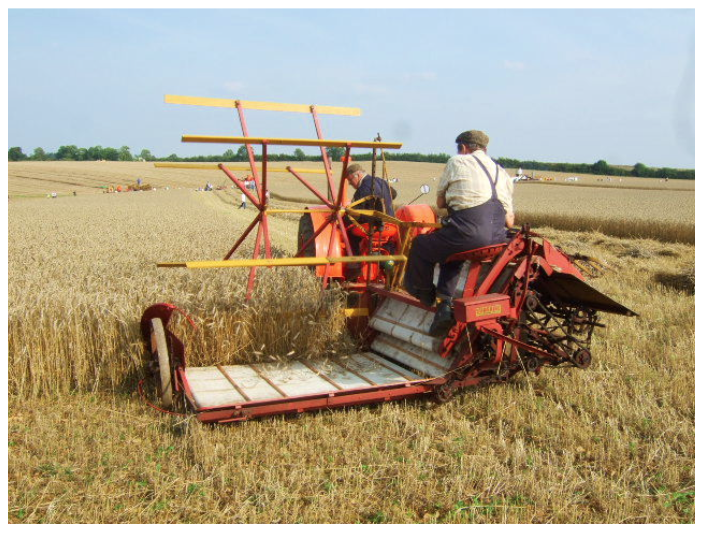 Binding Wheat