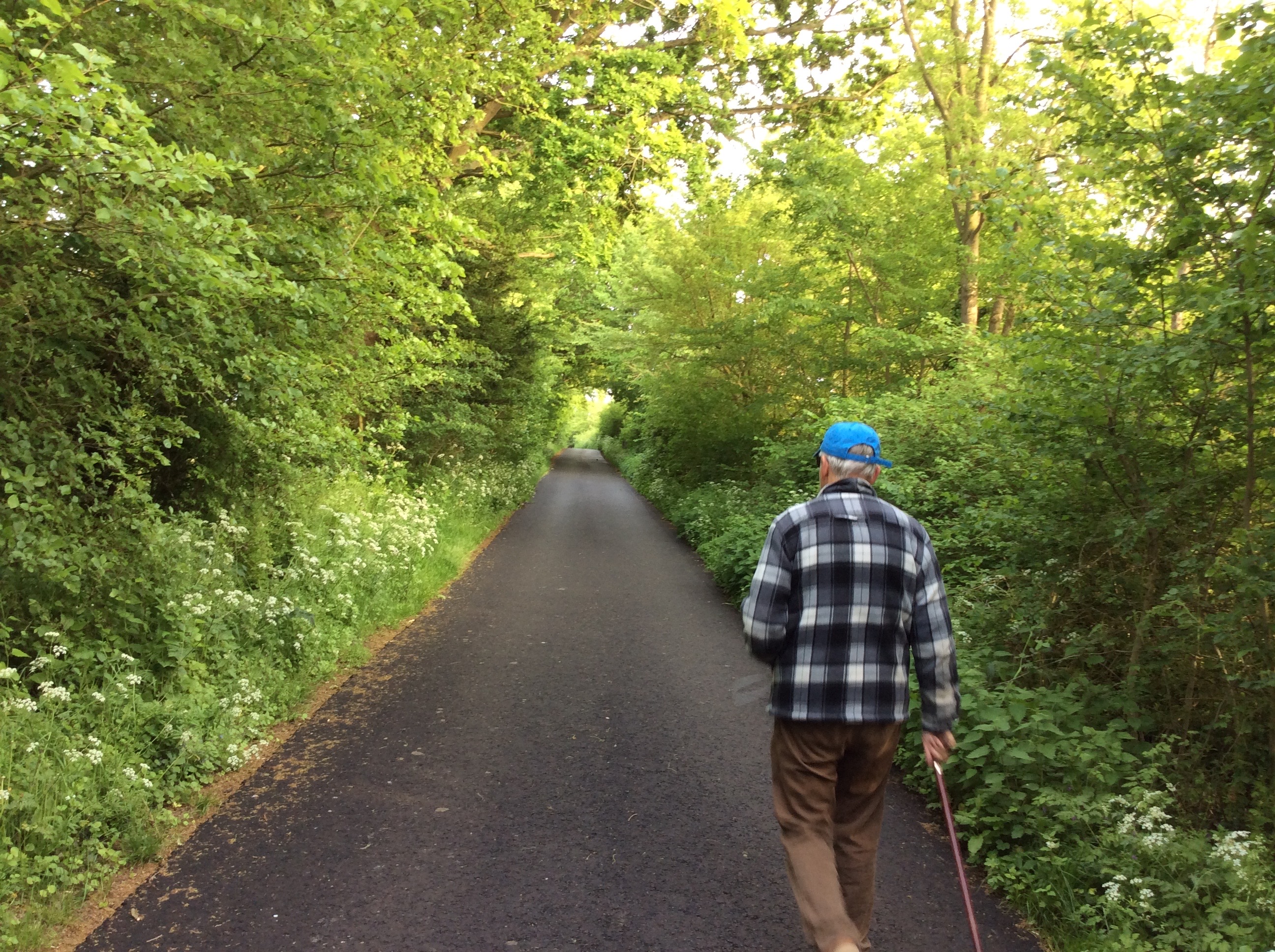 IMG_5317