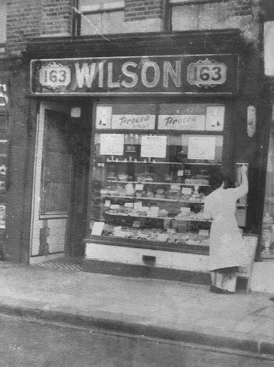 Wilson-15