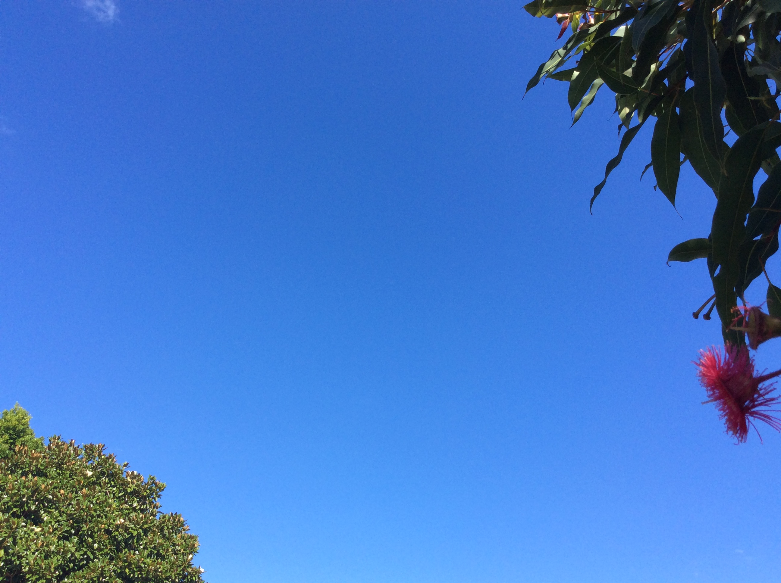 Sky from Home